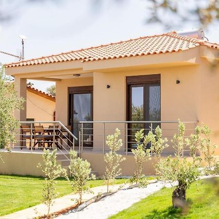 Terra Blue Suites - Dimitra Kalyves Exterior photo