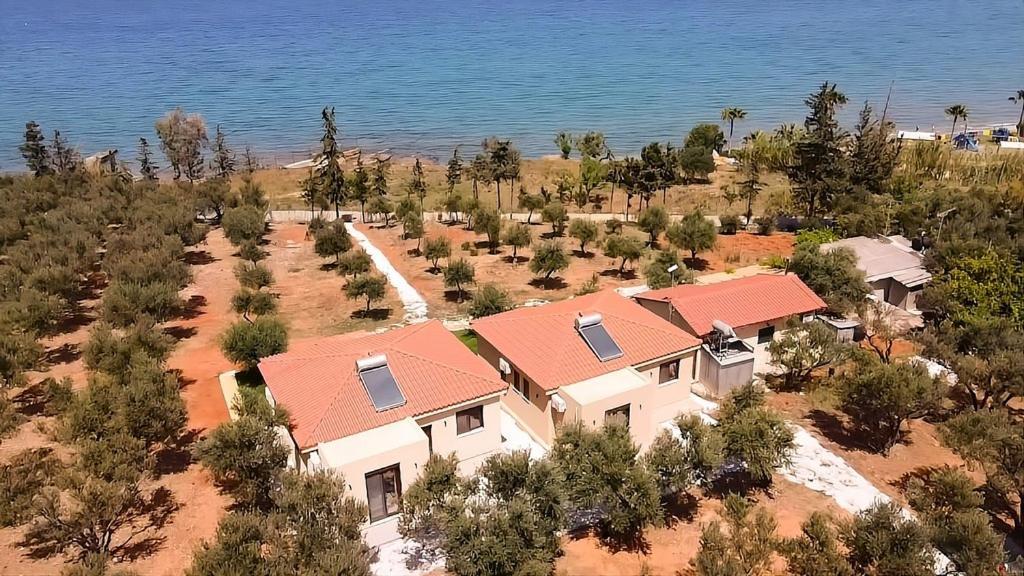 Terra Blue Suites - Dimitra Kalyves Exterior photo